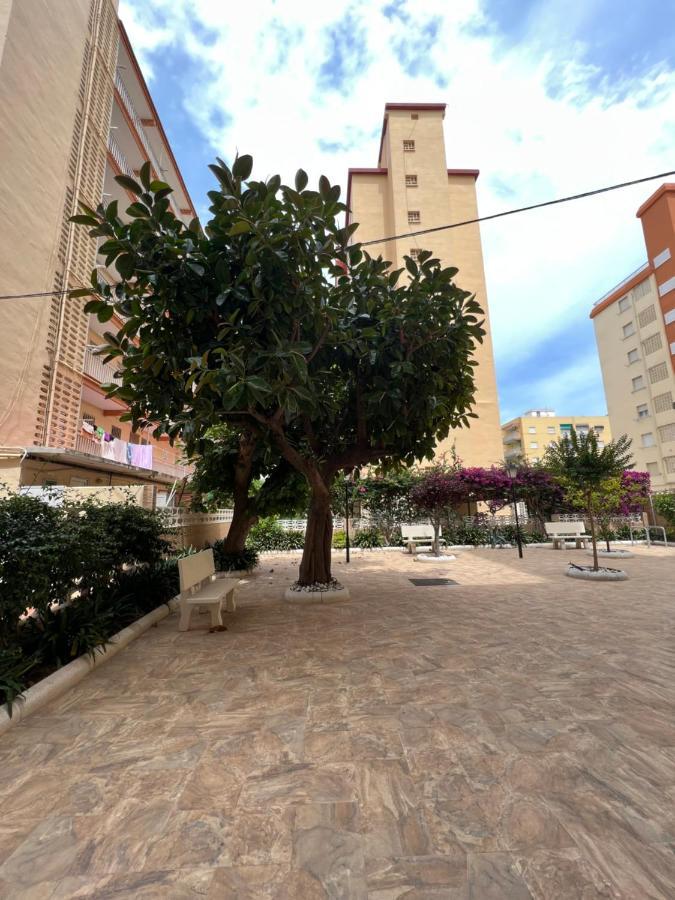 Ap Cande Playa De Gandia Buitenkant foto